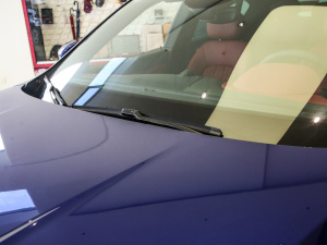 20203.0T (bio)(zhn) ˢ