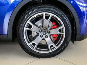 2020款3.0T 标准版 轮圈