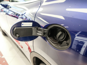 20203.0T (bio)(zhn) w