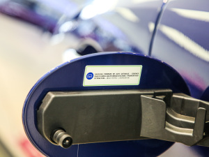 20203.0T (bio)(zhn) (x)(ji)^