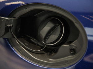 20203.0T (bio)(zhn) (x)(ji)^