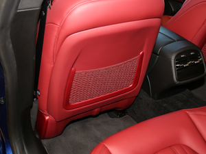 20203.0T (bio)(zhn) g