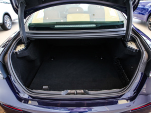 20213.0T (bio)(zhn) g