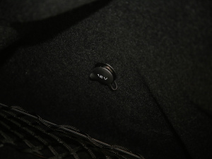 20213.0T (bio)(zhn) g