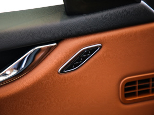 20213.0T (bio)(zhn) g