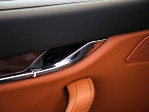 20213.0T (bio)(zhn) g