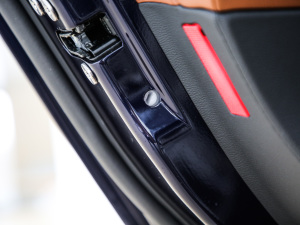 20213.0T (bio)(zhn) g