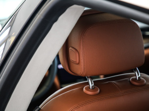 20213.0T (bio)(zhn) g