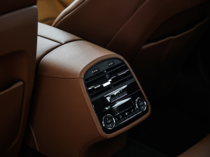 20213.0T (bio)(zhn) g