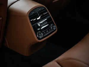 20213.0T (bio)(zhn) g