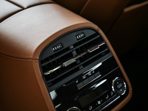 20213.0T (bio)(zhn) g