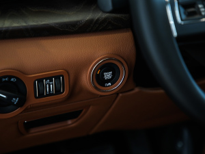 20213.0T (bio)(zhn) п؅^(q)