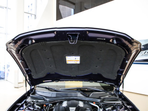 2021款3.0T 标准版 其它