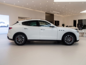 20213.0T (bio)(zhn) w^