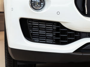 20213.0T (bio)(zhn) (x)(ji)^