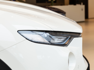 20213.0T (bio)(zhn) (x)(ji)^