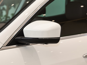 20213.0T (bio)(zhn) (x)(ji)^