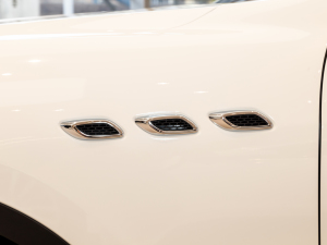 20213.0T (bio)(zhn) (x)(ji)^