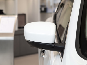 20213.0T (bio)(zhn) (x)(ji)^