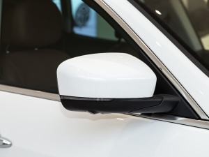 20213.0T (bio)(zhn) (x)(ji)^