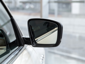 20213.0T (bio)(zhn) (x)(ji)^