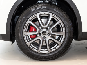 20213.0T (bio)(zhn) (x)(ji)^