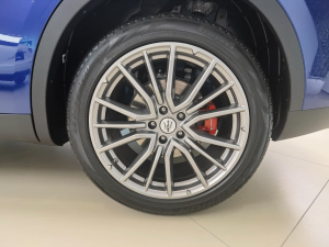 20213.0T (bio)(zhn) ݆Ȧ