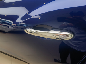 20213.0T (bio)(zhn) {T