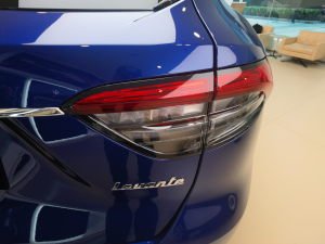 20213.0T (bio)(zhn) β