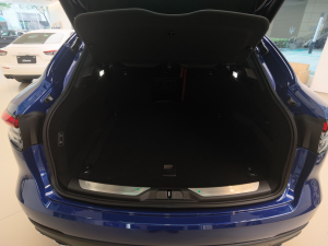 20213.0T (bio)(zhn) g