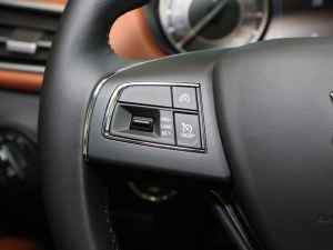 20213.0T GranSport п؅^