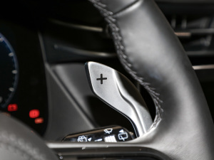 20232.0T GT п؅^(q)