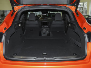 20233.0T F Tributo  g