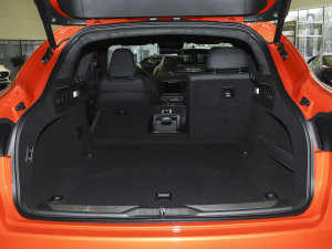 20233.0T F Tributo  g