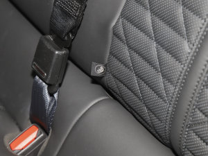 20233.0T F Tributo  g