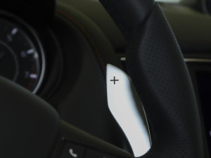 20233.0T F Tributo  п؅^