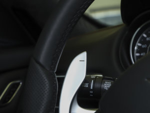 20233.0T F Tributo  п؅^