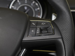 20233.0T F Tributo  п؅^(q)