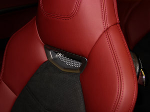 2013Sport Automatic g