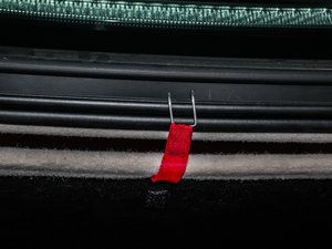 20133.8T (bio)(zhn) g