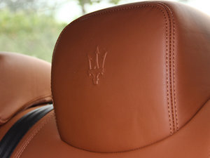 20133.8T (bio)(zhn) g