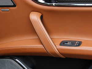 20133.8T (bio)(zhn) g