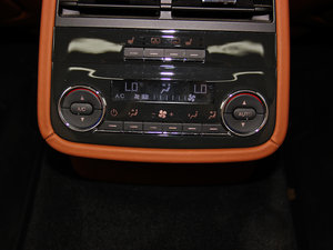 20133.8T (bio)(zhn) g