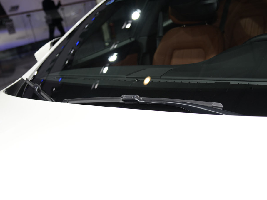 2017 3.0T (bio)(zhn)