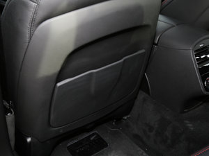 20173.0T (bio)(zhn) g