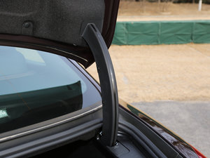 20173.0T (bio)(zhn) g