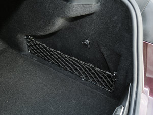 20173.0T (bio)(zhn) g