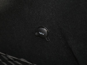 20173.0T (bio)(zhn) g