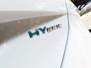 2019款SW HYBRID 细节外观
