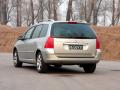 2007�����307SW ���45��